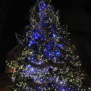 Meet your Posher, Dheiksha